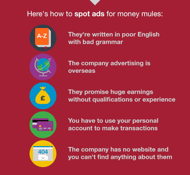 Infographic - What Is A Money Mule?